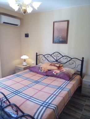 Studio Apartment on Vinogradnaya